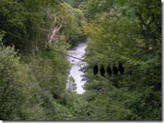 PICT0234