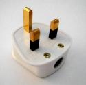 Plug