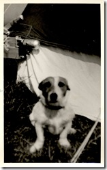 Dads Dog Sam